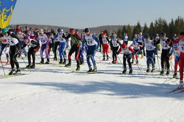Горнолыжный спорт. Спорт в лицах. Лыжник фото. Тягунский лыжный марафон 2024. Тягунский лыжный марафон 2024.
