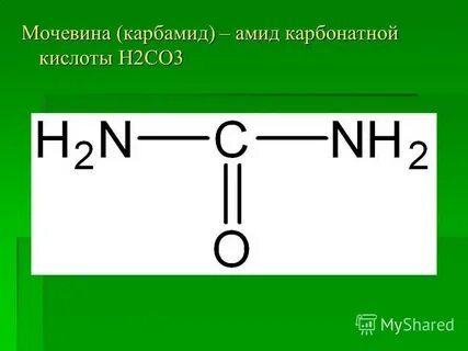 Мочевина органическая кислота