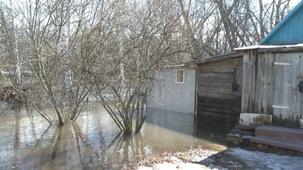 Разлив реки ишим в 2025 году