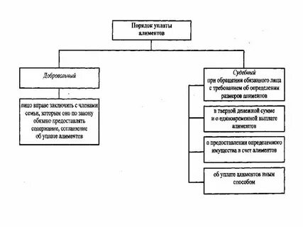 Формы оплаты алиментов