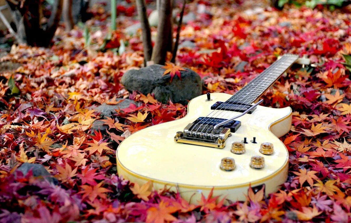 Гитара в осенних листьях. Гитара в осеннем лесу. Осенняя фотосессия с гитарой. Музыкальные краски осени.