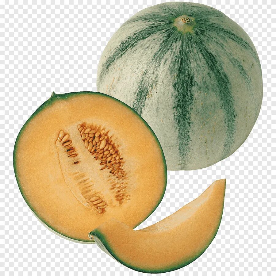 Дыни melon. Дыня канталуп. Дыня Honeydew. Китайская дыня Ханидью.