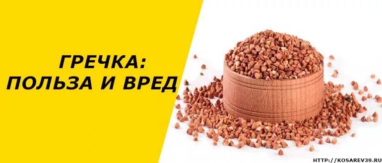 Чем вредна гречка для организма