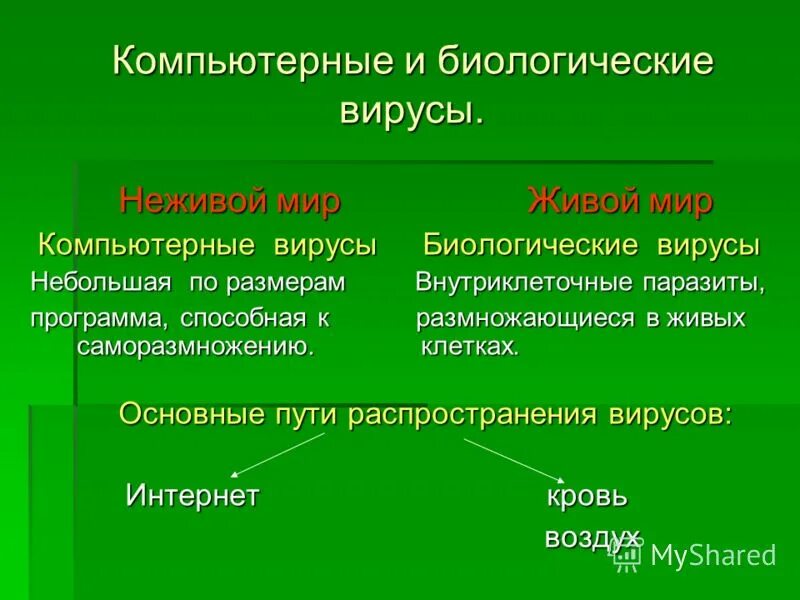 отличия вирусов от неживой природы