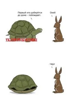 Побеждает черепаха