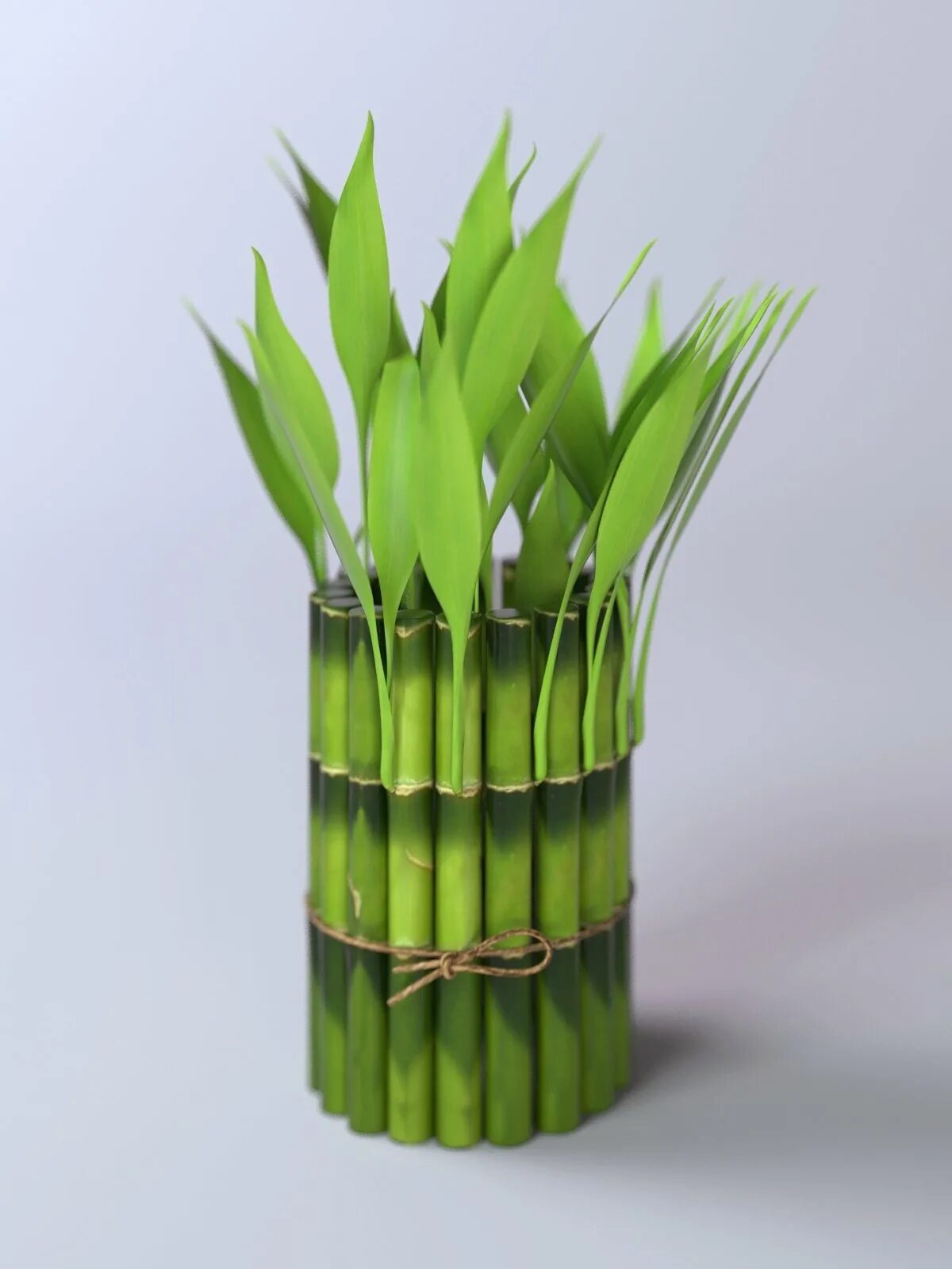 Бамбук 3д модель. Бамбук 3. Бамбуковые стебли. Бамбук на стене. Bamboo 3d.