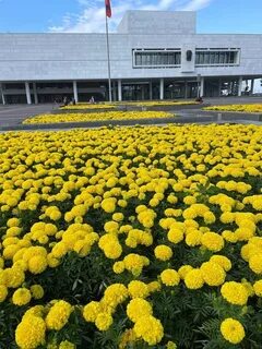 Сайт мемцентра ульяновск