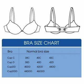 38d breast size