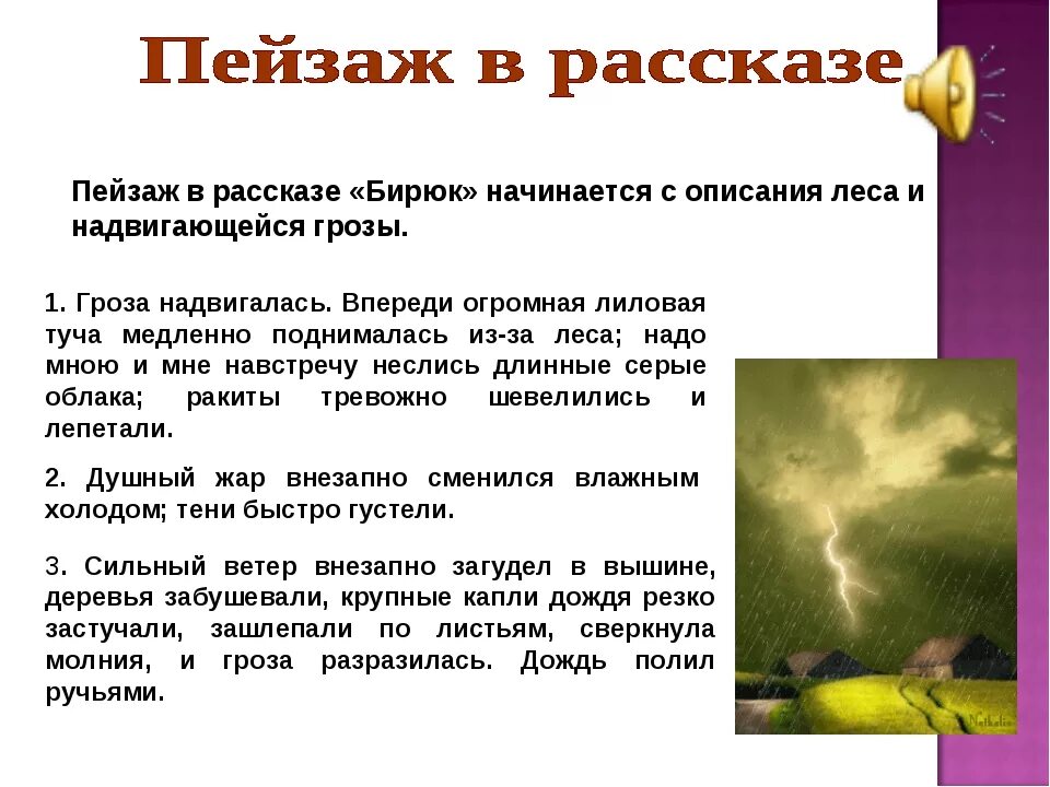 Описание природы. Описание пейзажа в произведении. Рассказ описание. Описание грозы. Содержание поздним вечером