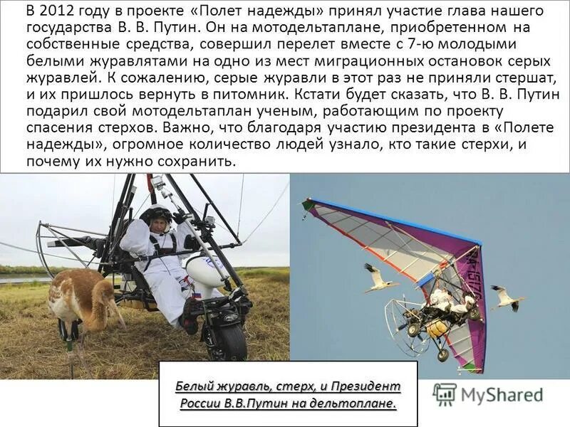 Проект полеты человека. Мотодельтаплан. Полет со стерхами Путина.