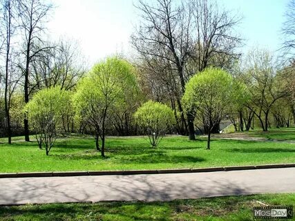 Курская люблино