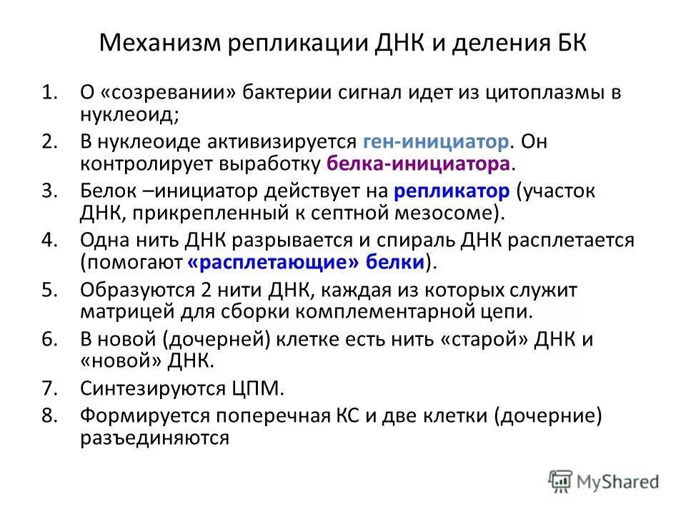 репликация днк у бактерий микробиология. механизм репликации днк у прокариот. механизм репликации бактериальной хромосомы. схема репликации днк прокариот. схема репликации днк бактерий.
