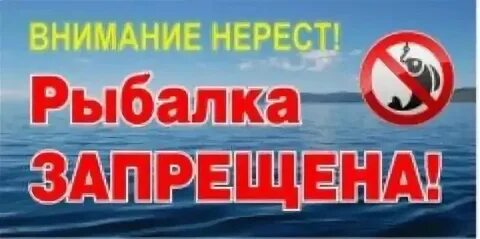 Запрет на рыбалку 2024 беларусь