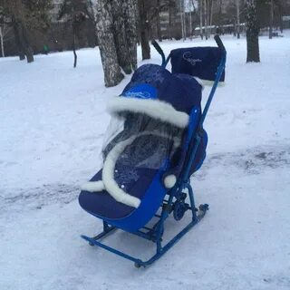 Санки от года