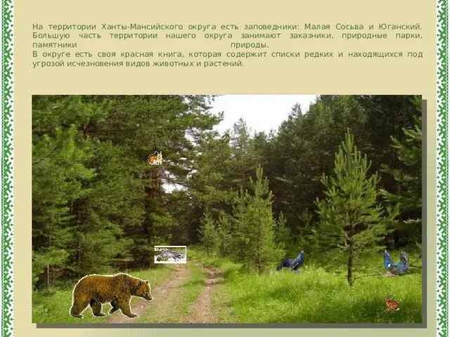Заповедник юганский в хмао-югре. Хмао-югра река малая сосьва. Заповедники хмао югры юганский заповедник. Ханты мансийский заповедник. Заповедник малая сосьва в хмао-югре.