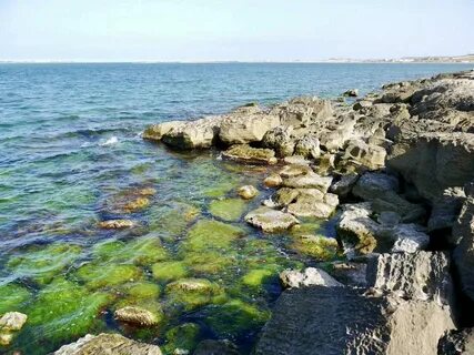 Каспийское море это пресный водоем