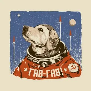 Space dogs