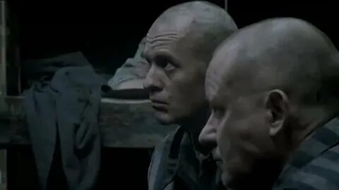 8 год 2008
