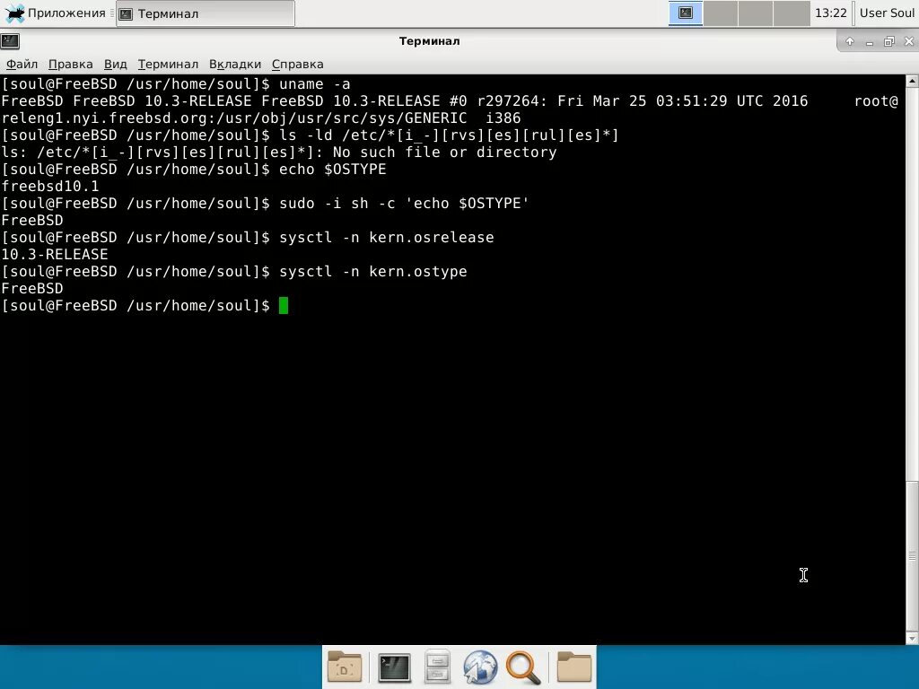 FREEBSD Terminal. FREEBSD X Window. User terminal