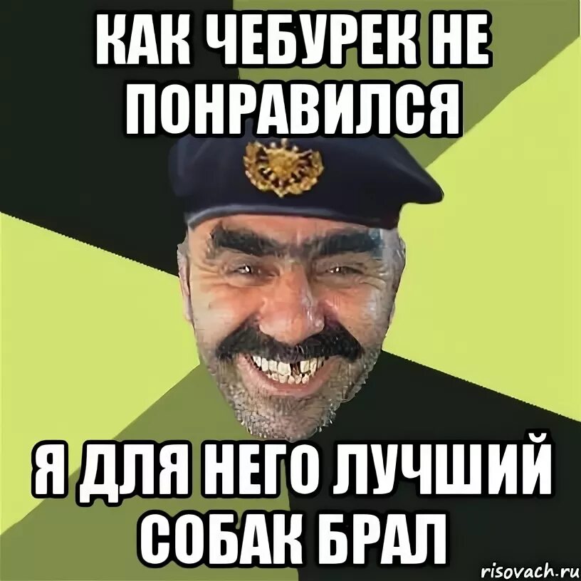 Чебурек мем. Мемы про чебуреки. я чебурек мем. мемы на название крутые чебуреки.