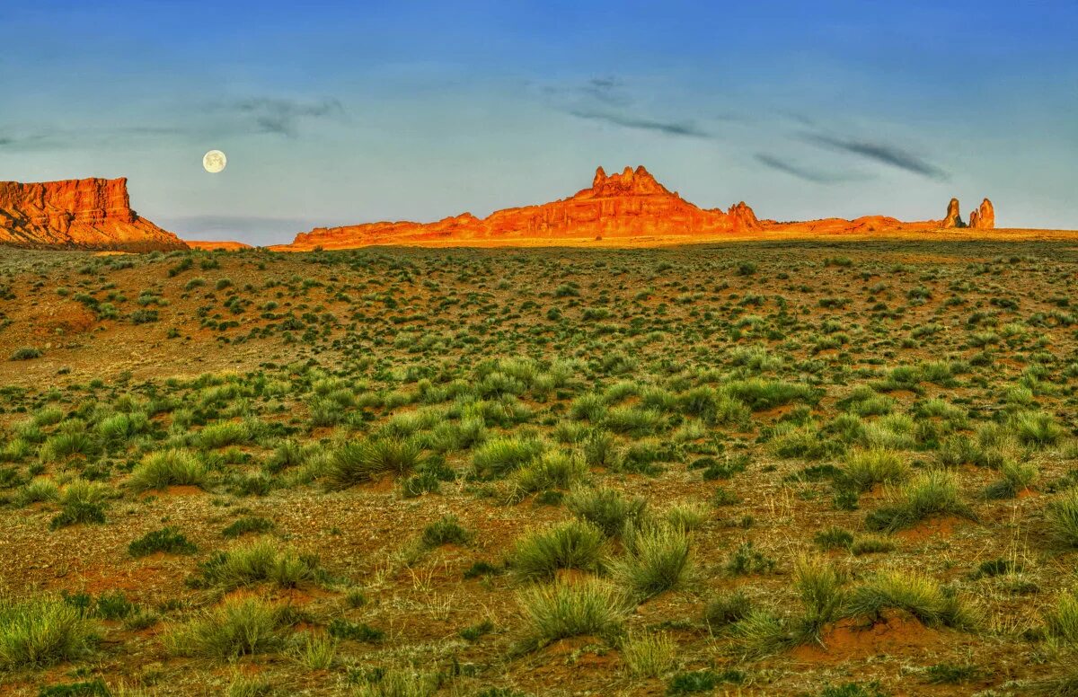 Плато эдуардс в техасе. Великие равнины сев амер. Степи северной америки прерии. Низкотравные прерии в северной америке. Как называются степи америки.