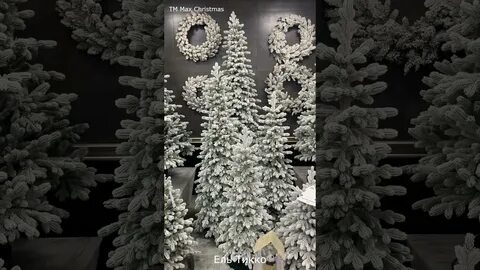 Max christmas отзывы