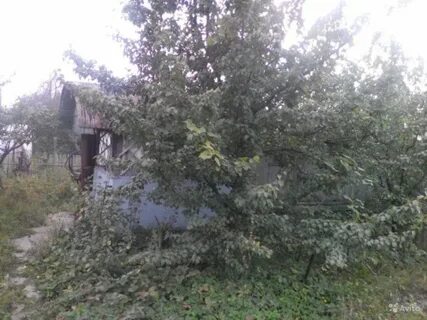 Снт сосновка