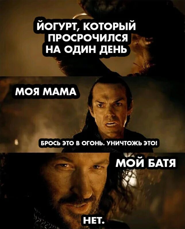 Кидать в огонь. Брось его в огонь Уничтожь его нет Властелин колец. Мем Уничтожь его брось в огонь. Лучшие мемы. Исильдур Мем.