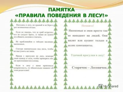 Правила поведения в лесу 2 класс окружающий