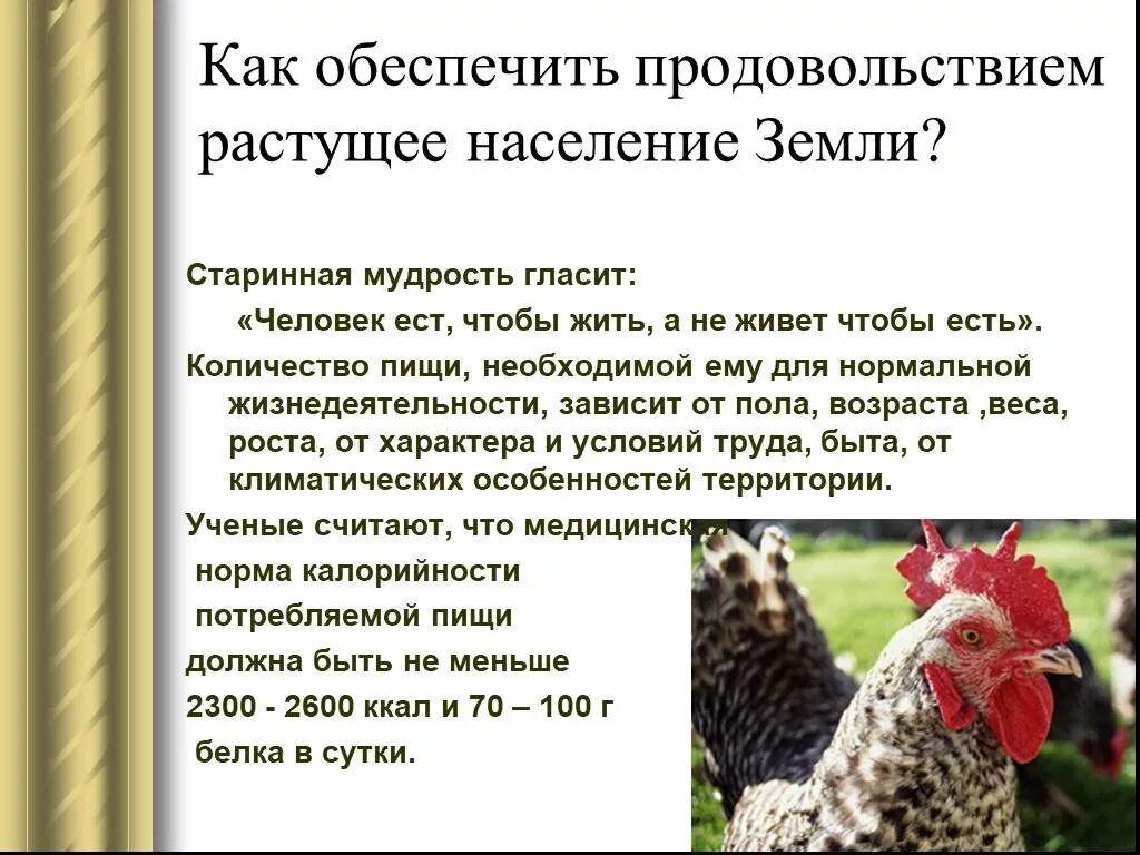 Проблемы обеспечения населения земли продовольствием. Как обеспечить продовольствием растущее население земли?. продовольственная проблема сущность и пути решения.