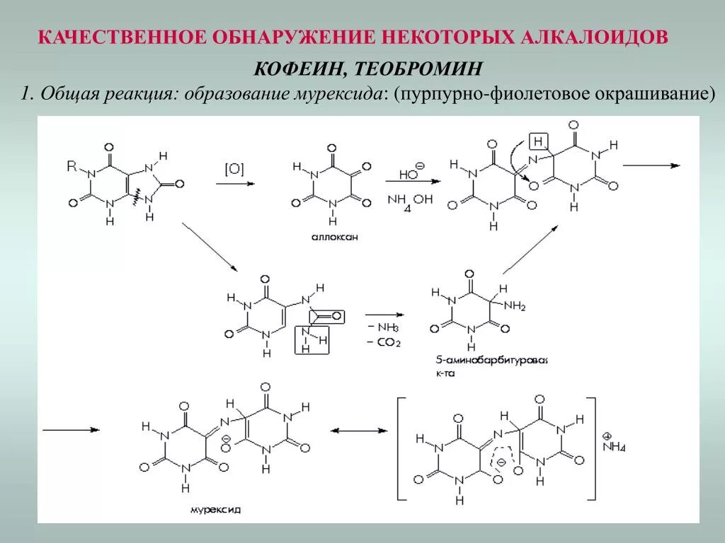 Теобромин мурексидная проба реакция. Мурексидная проба мочевой кислоты. Кофеин мурексидная проба реакция. Мурексидная проба на производные Пурина.