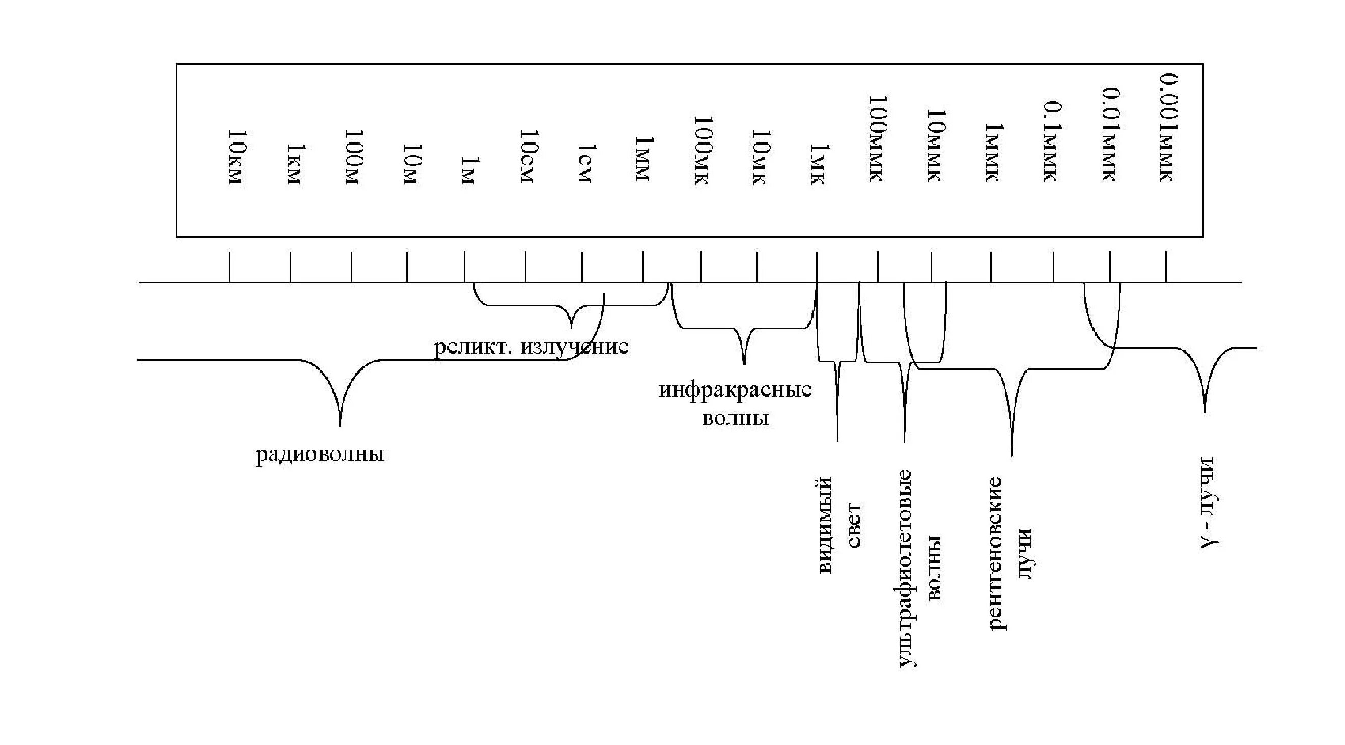 Шкала электромагнитных излучений рисунок. Шкала электромагнитных волн схема. Шкалу электромагнитных волн печать. Шкала электромагнитных волн с примерами. Стенд шкала электромагнитных волн для кабинета физики.