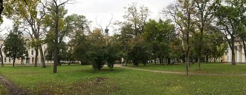 Вид из окна 1 этаж
