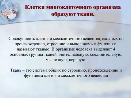 Совокупность клеток и межклеточного вещества сходных