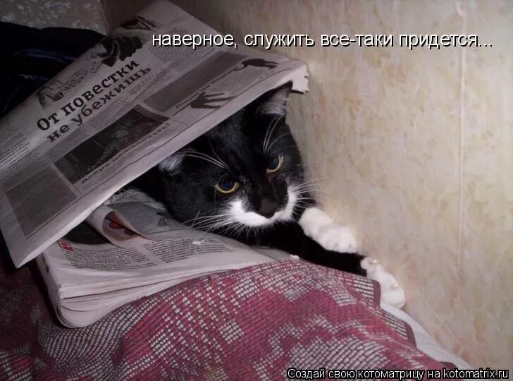 Очень очень страшит мысль что мне. Придется таки. Частица таки. Частица таки. Здесь хорошо спится или спиться.