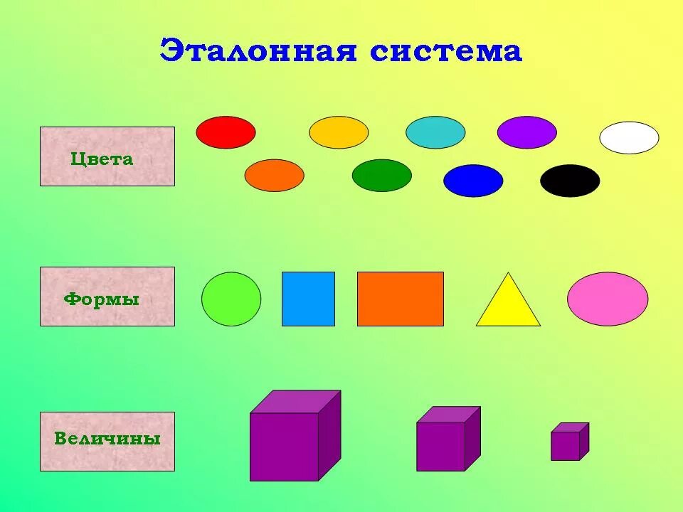И представления о размере предметов. Формирование сенсорных эталонов у детей раннего возраста. форма и цвет для дошкольников. восприятие сенсорных эталонов (цвет, форма, величина). цвет, форма величина предметов.