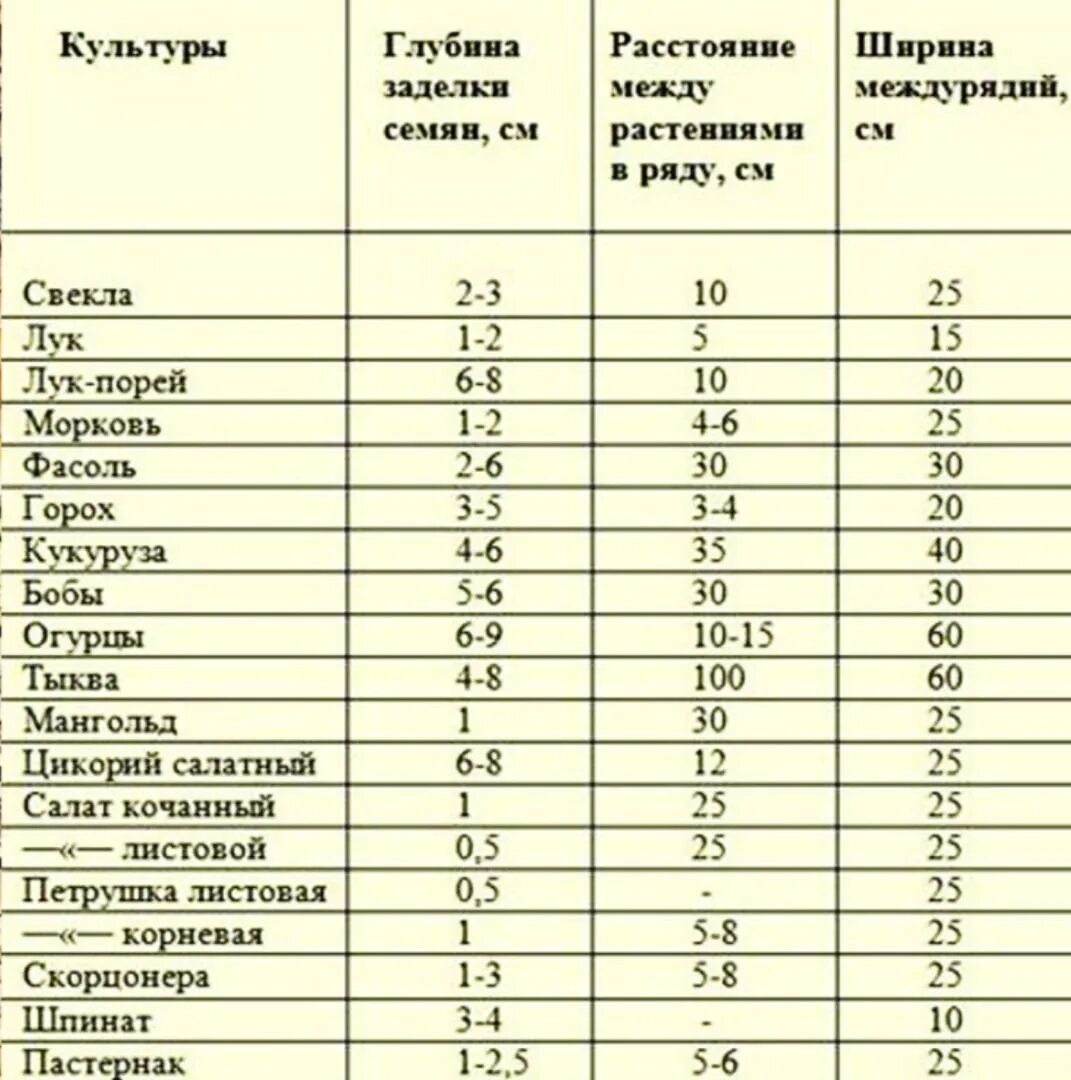 На какую глубину садить семена. Таблица глубины посева семян овощей. Глубина заделки семян овощных культур. Глубина заделки семян овощей таблица. Глубина заделки семян овощных культур таблица.