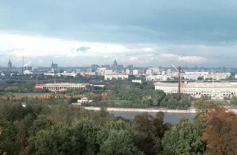 Ленинские горы 1 адрес