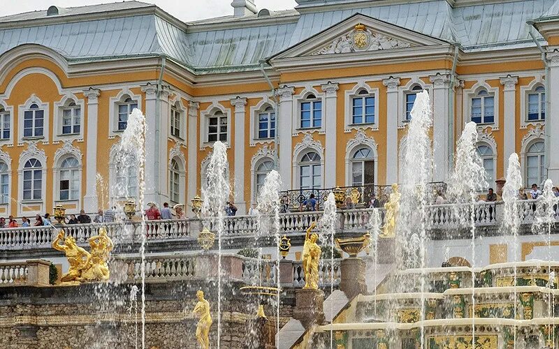 Петрович петергоф. Петрович петергоф