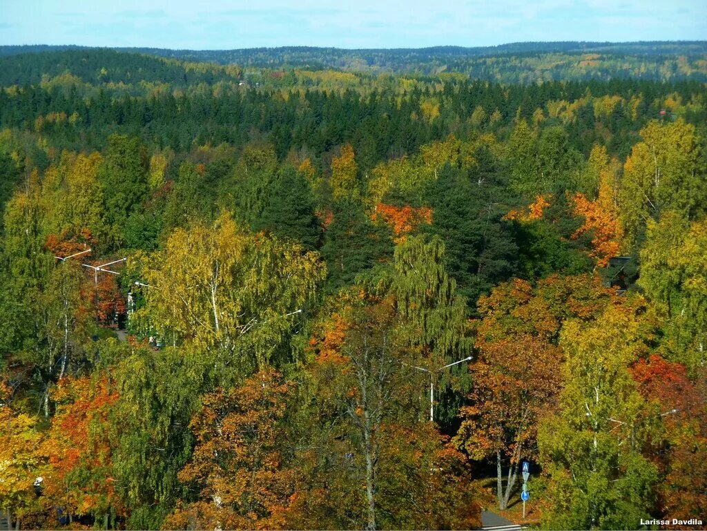 Финляндия хвойно широколиственные леса. Хвойно широколиственные леса Южного Урала. Широколиственный лес Финляндия. Тайга и широколиственные леса. Природа смешанных лесов в россии