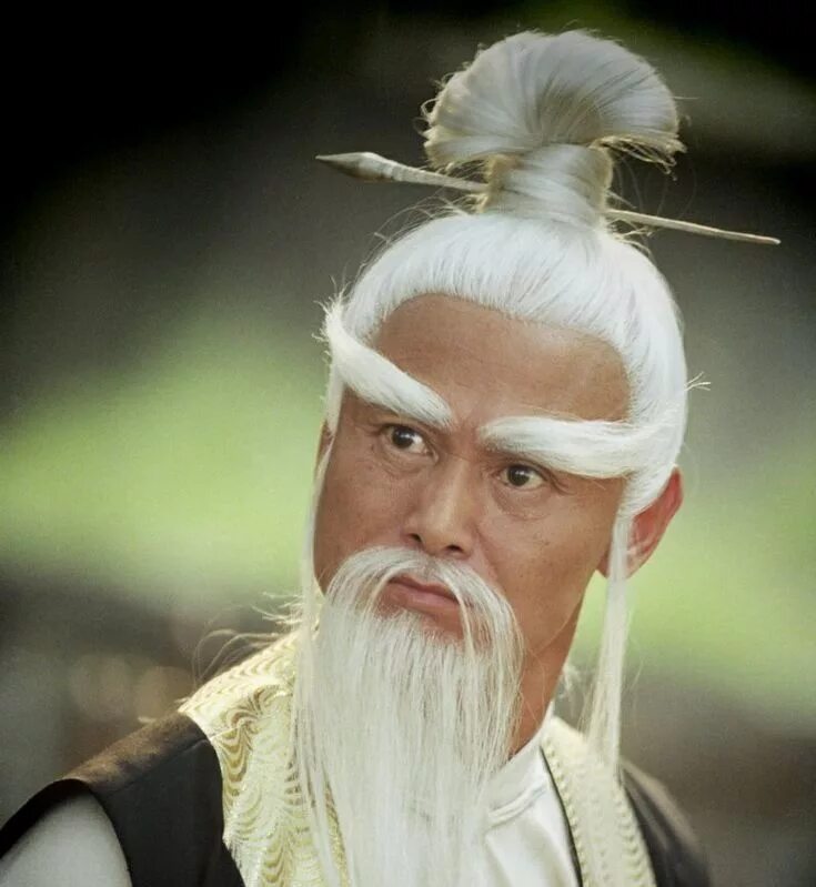 Пай мэй монах. Пай мэй монах. Пай мэй монах. Мудрый человек арт. Кунг фу старик.