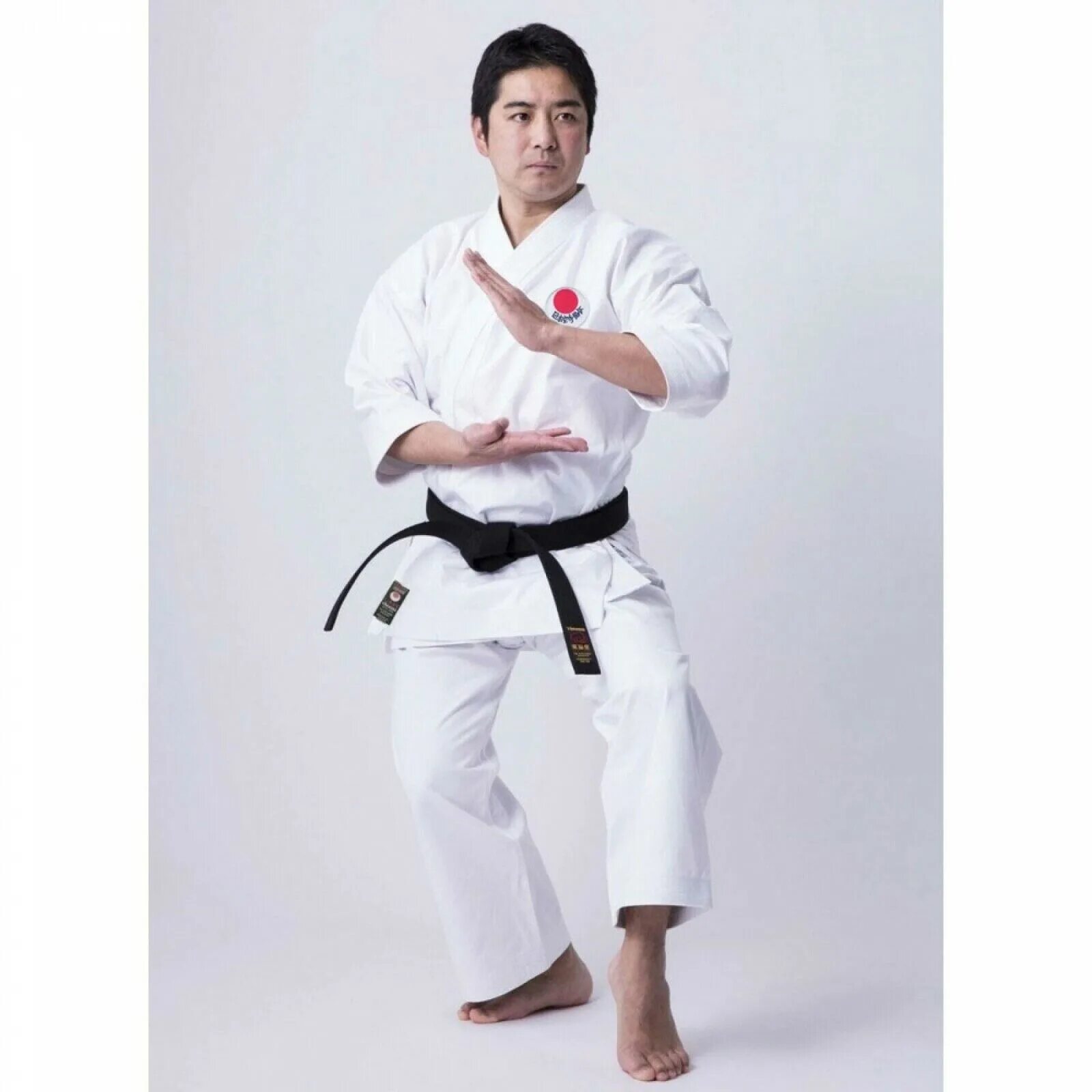 Japanese karate