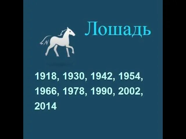 2019 год лошадь. Лошадь по году рождения. Лошадь знак зодиака. Год лошади года рождения. Года рождения лошади по гороскопу.