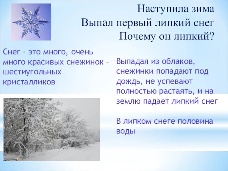 Время наступит слова. Предложение наступила зима. Зима пришла. Пришла зима.выпал первый снег. Проект про снег.