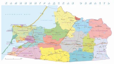 Калининград облысы, Калининград қаласындағы жезөкшелер