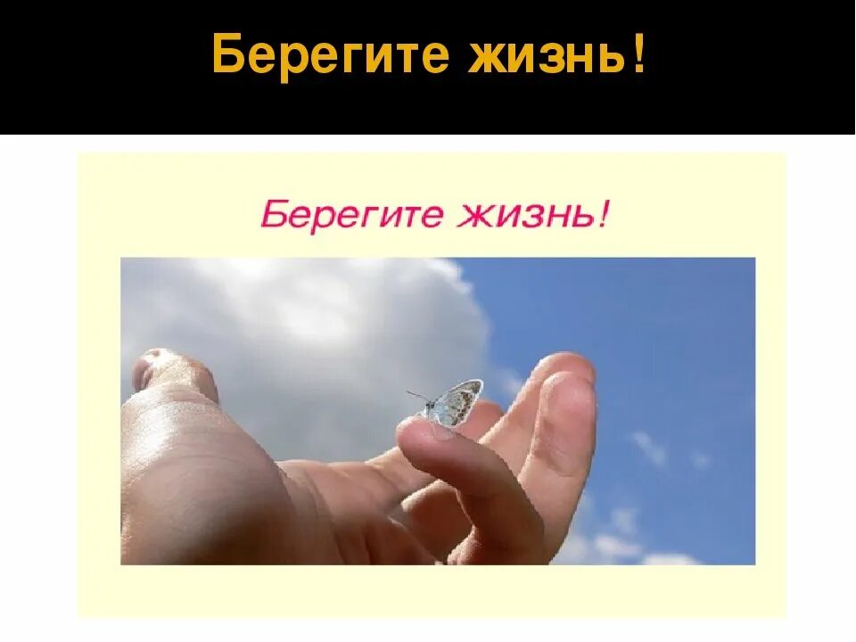 Текст берегите жизнь. Берегите жизнь. береги свою жизнь. берегите жизнь презентация. берегите свою жизнь и здоровье.