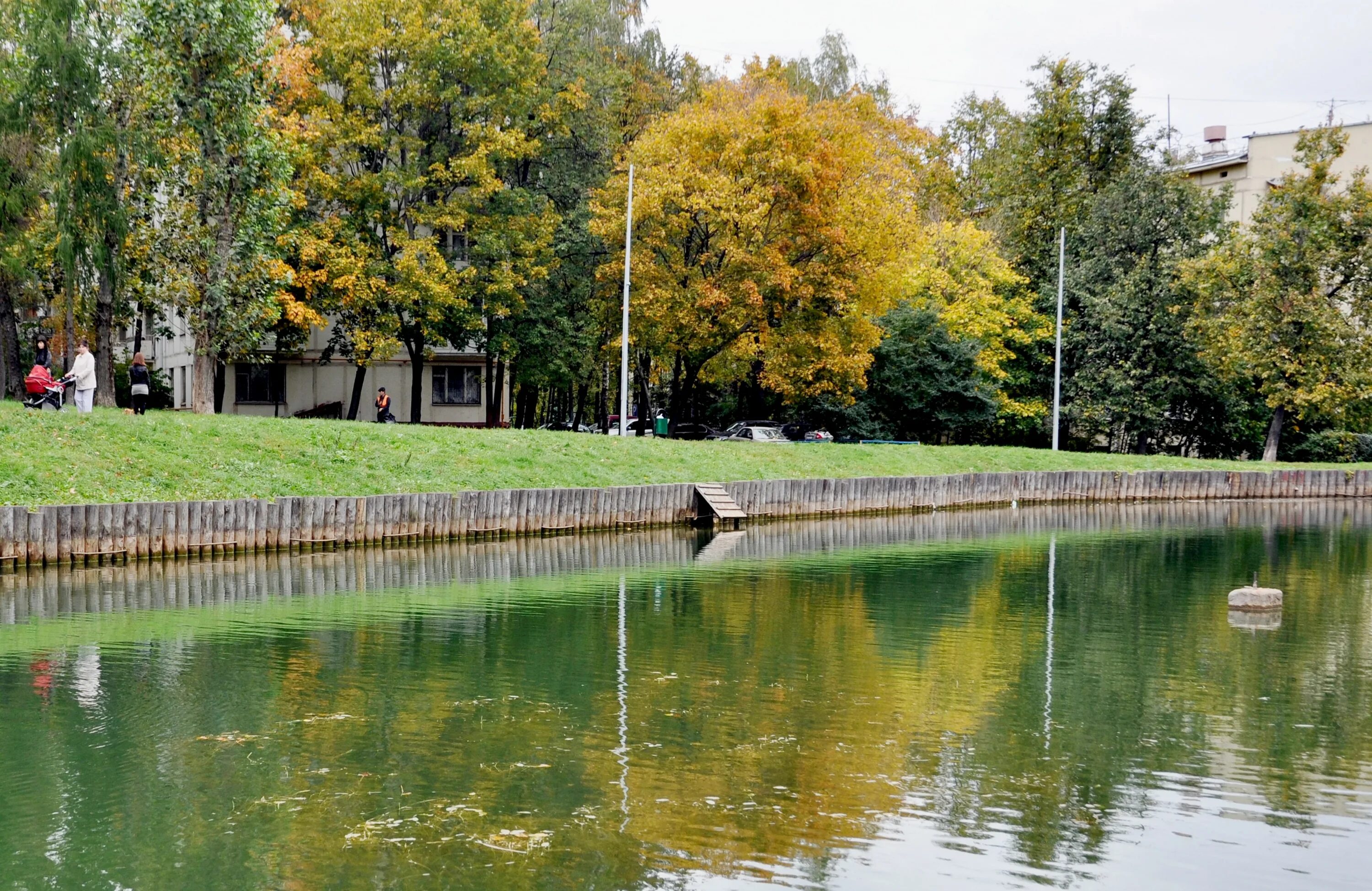 Копаем пруд для гусей. Передача по россии про шведские пруды. Парк скитские пруды в сергиевом посаде. Библиотека на чистопрудный бульвар. Карпиев пруд в летнем саду фото.