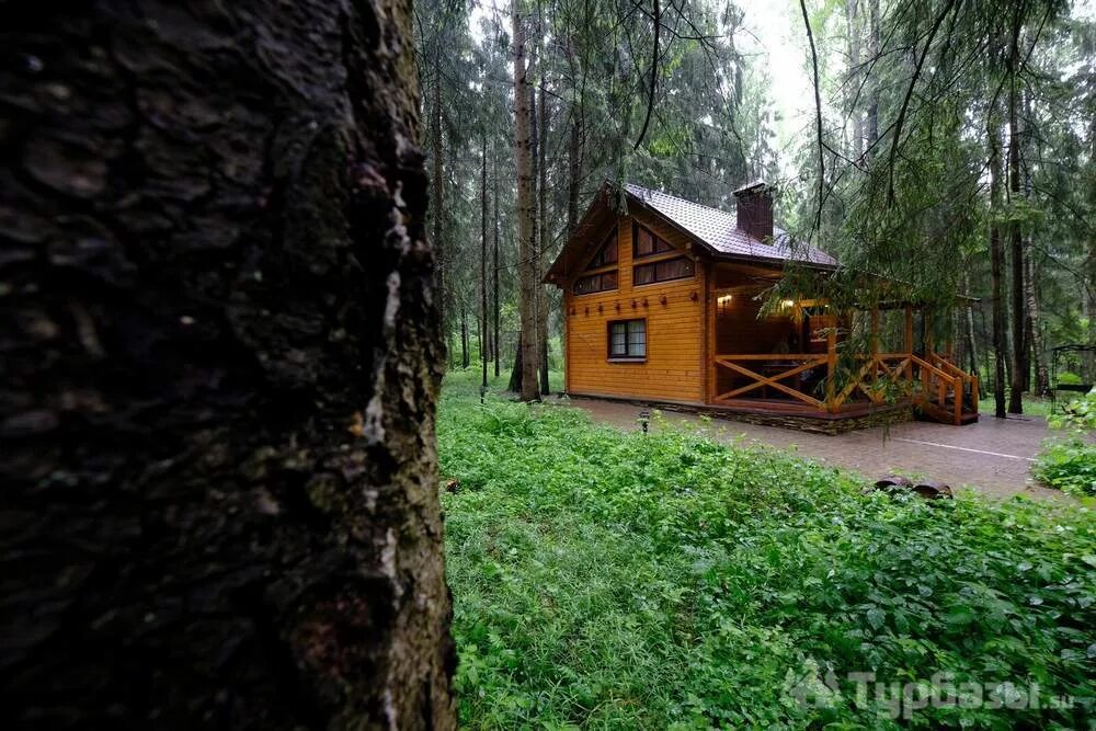 Сайт база смоленск. Парк Звездный Смоленск Стабна. Парк отель Звездный Смоленск. Ресторан парк звёзд. Стабна Смоленск. Стабна база отдыха Звёздный.