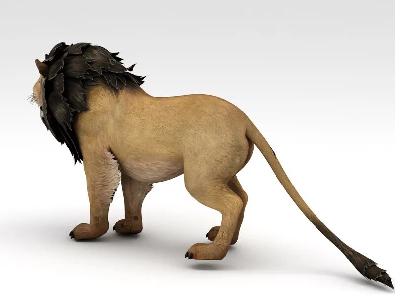 Лев 3д модель. Lion 3d model для ровера. лев 3ds max. lion hunter 3d model. löwe 3д модель.