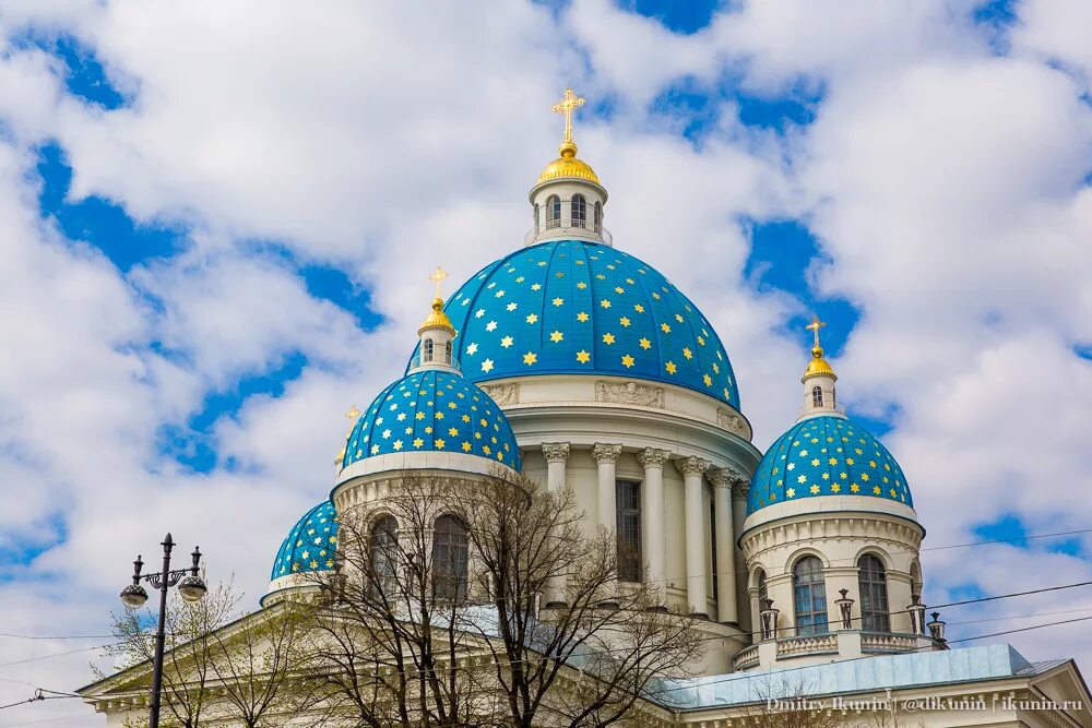 синий белый питер